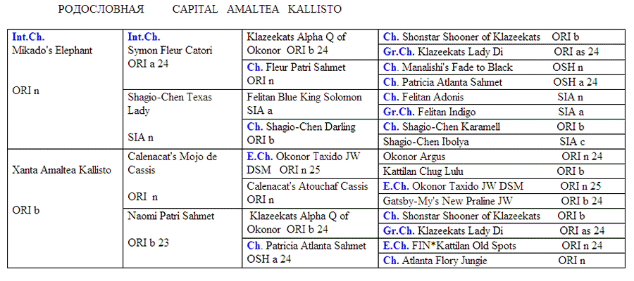 ����������� ������������� ���� Capital Amaltea Kallisto